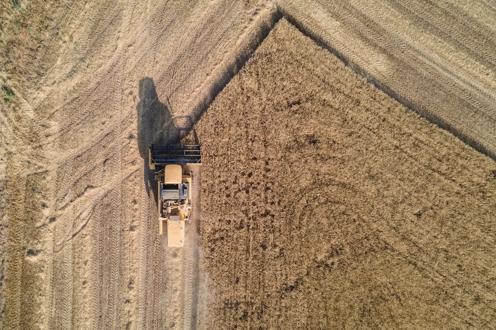 A combine seen from directly above, cutting the last corner of a wheat field