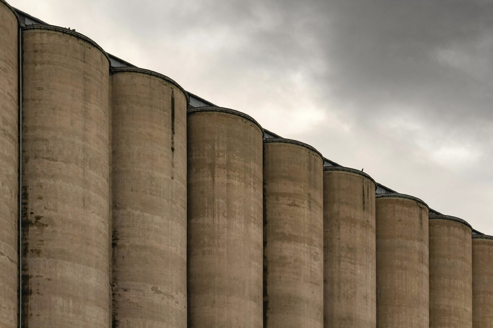 A row of concrete grain tanks seen from below against a heavy grey sky