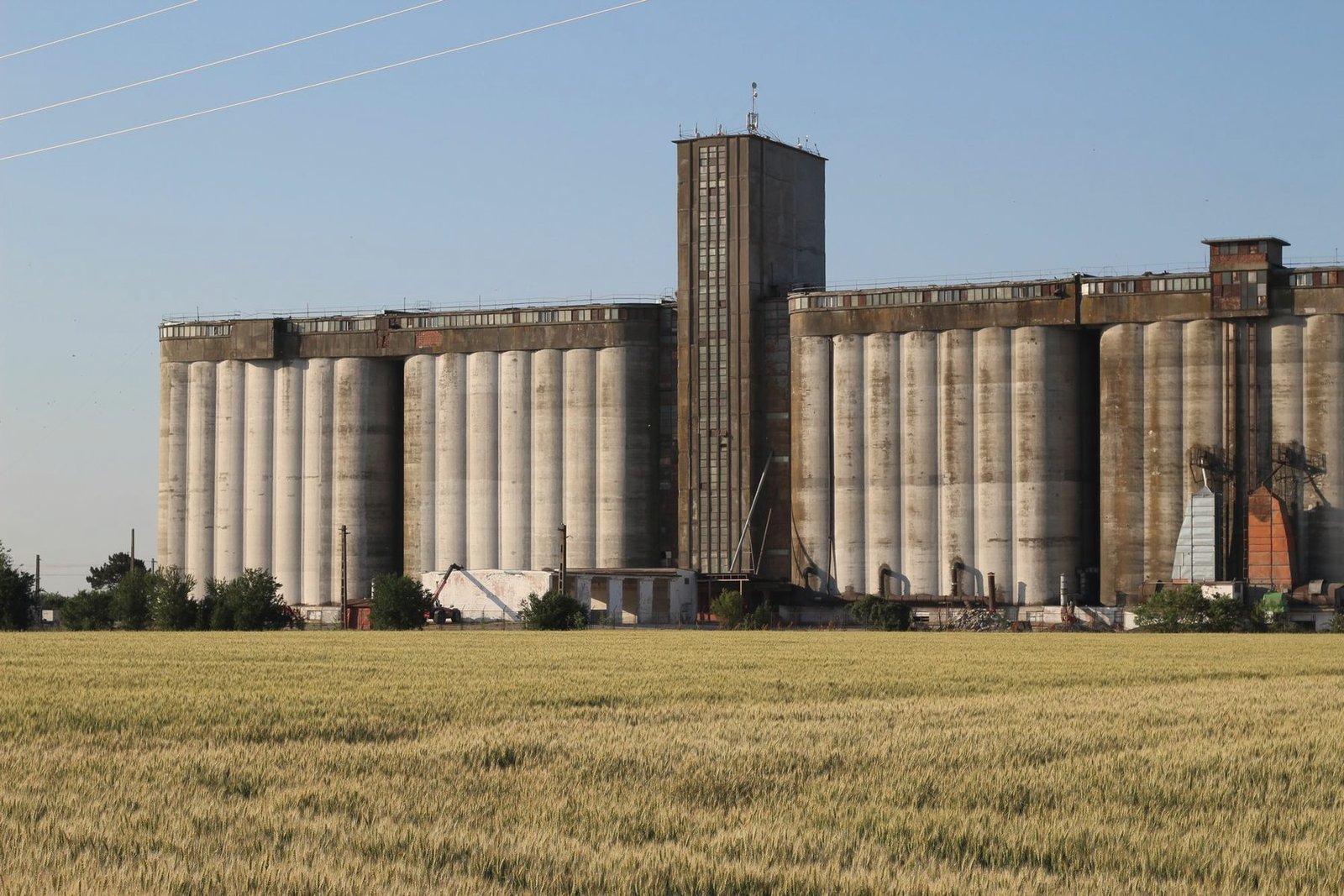 Concrete grain elevator and headhouse standing behind a field of ripening wheat under a clear sky