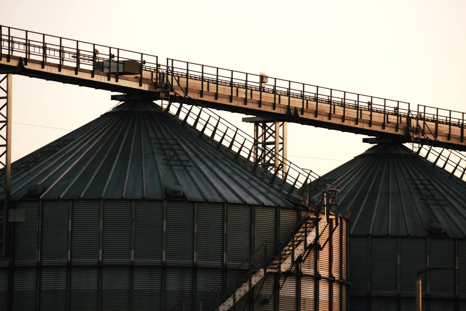 Steel catwalk and conveyor running over the roofs of two grain bins at dusk