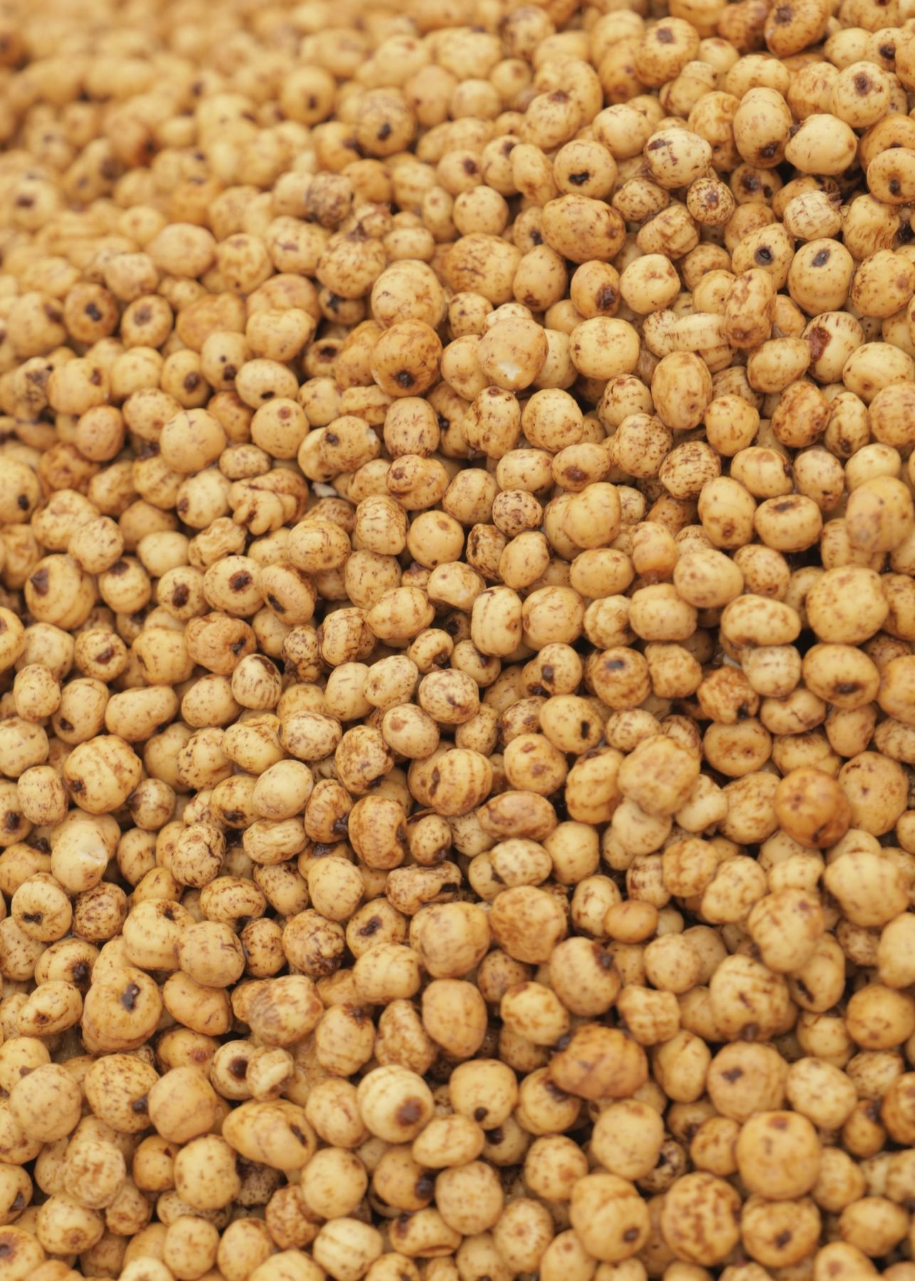 Close view of a pile of harvested soybeans