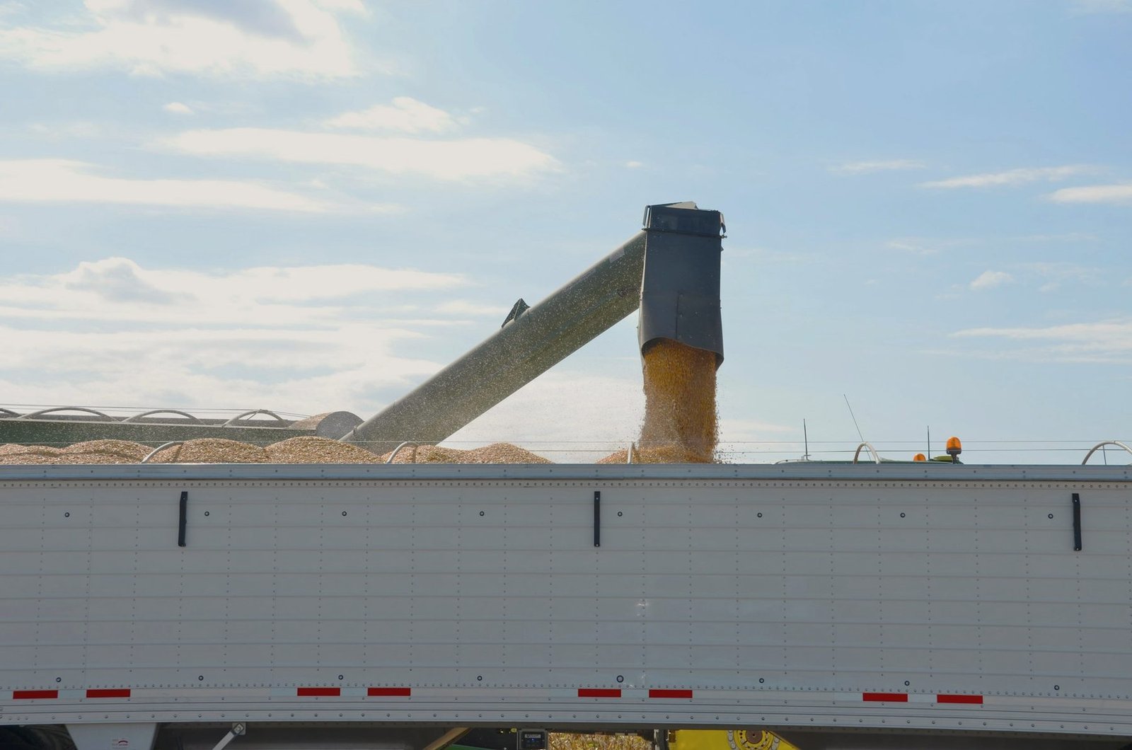 An auger spout filling a grey hopper trailer with grain under a pale sky